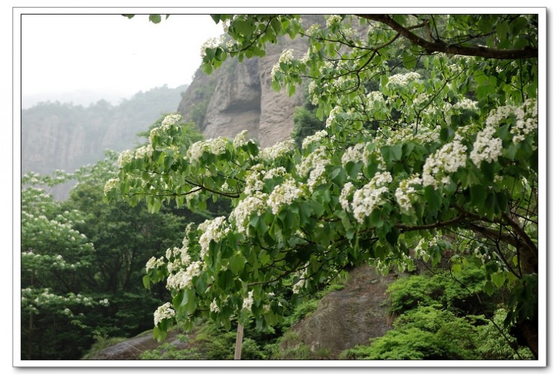 小龙湫11.jpg