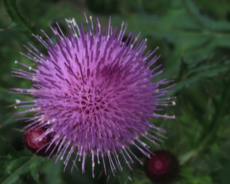 BI0E2212.JPG