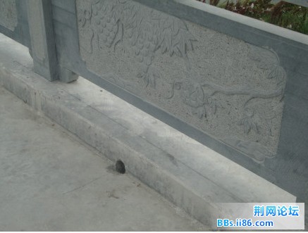 QQ截图20120531152751.jpg