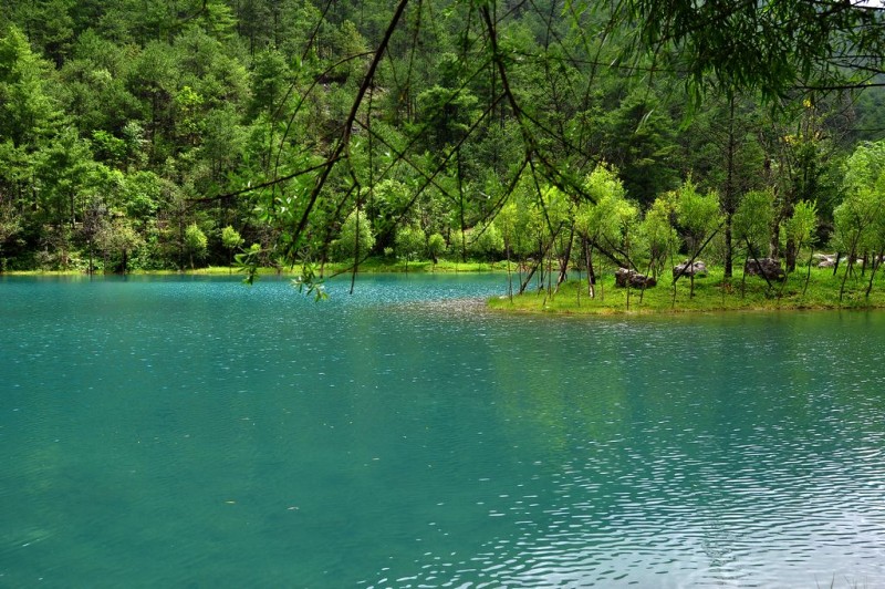 DSC_3467.jpg
