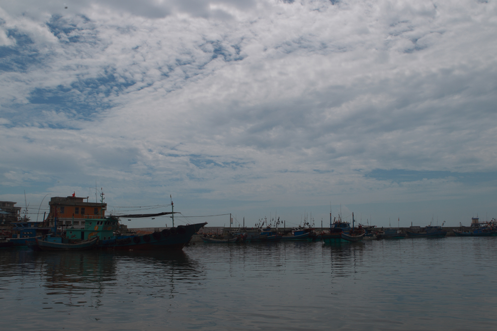 BI0E6048.JPG