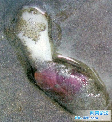 一部分.jpg