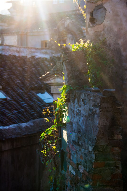 psbCAIJ5987.jpg