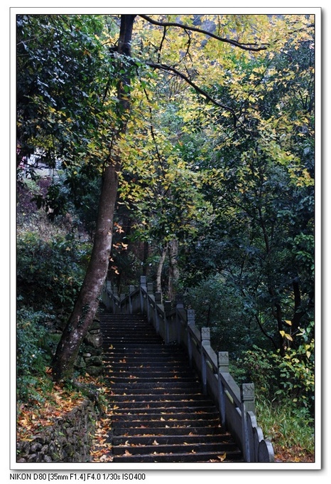冬日灵峰散步01.jpg