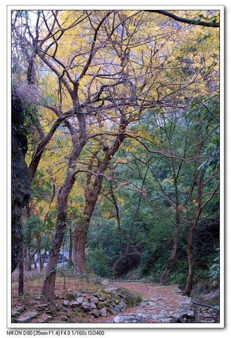 冬日灵峰散步11.jpg