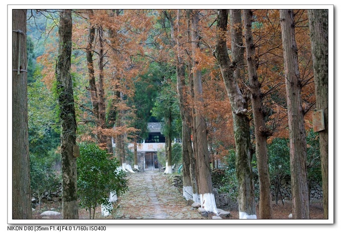 冬日灵峰散步14.jpg