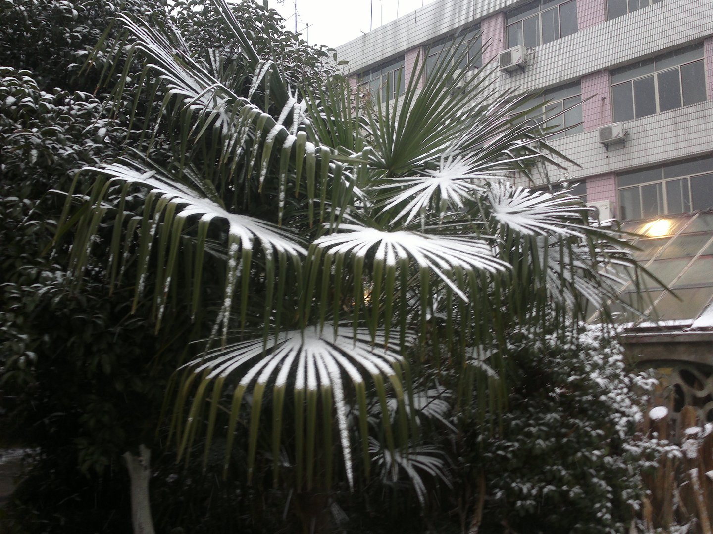201301031658.jpg