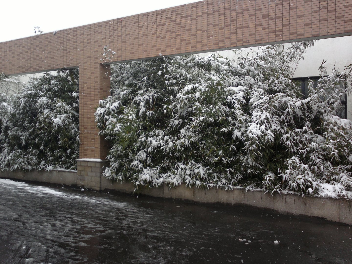 201301041696.jpg