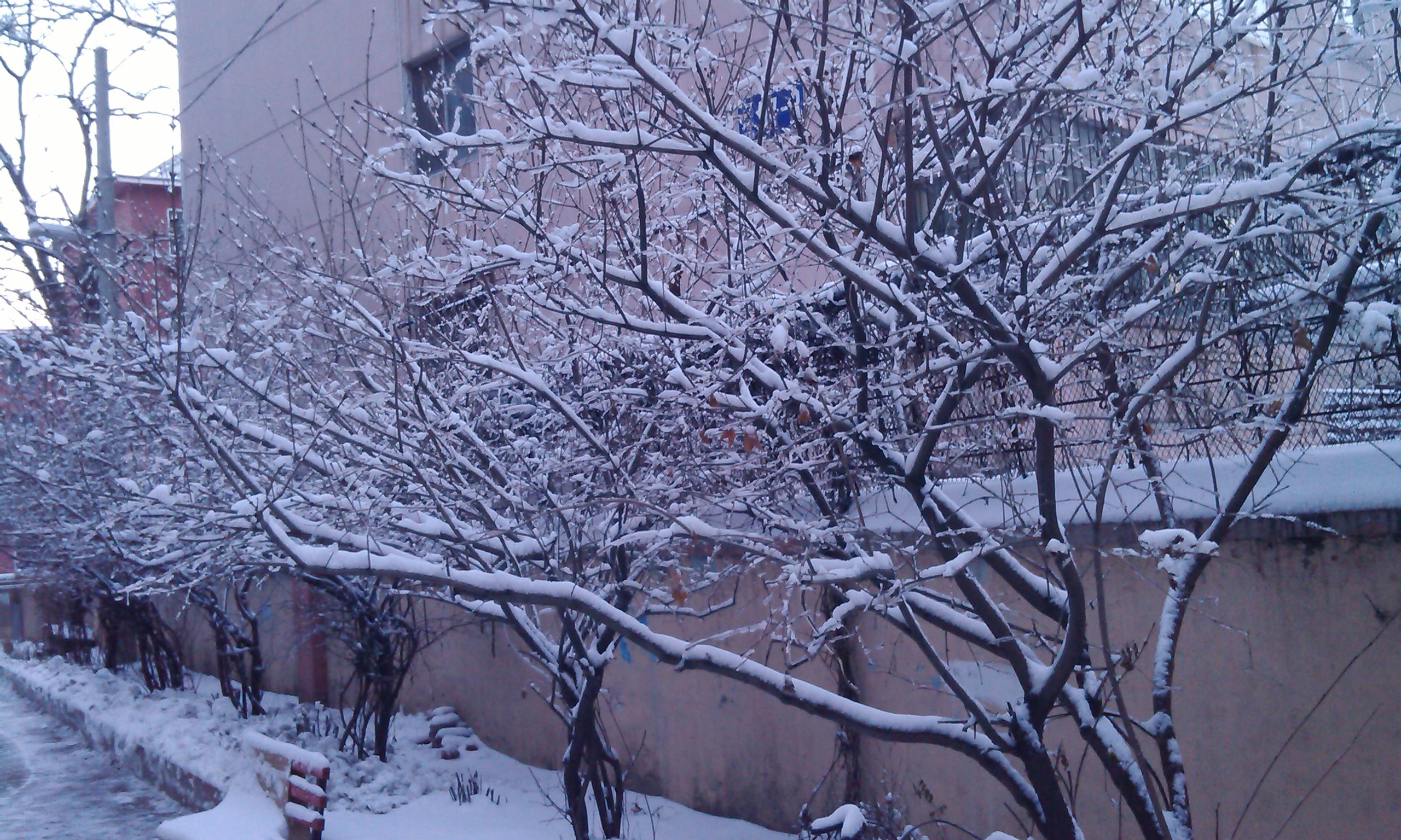 IMG_Ali_00031.jpg