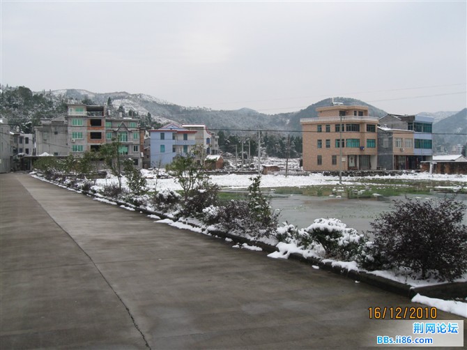 psu38.jpg
