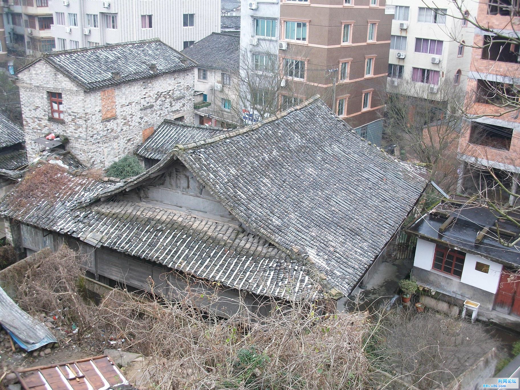 ALIM2707.JPG
