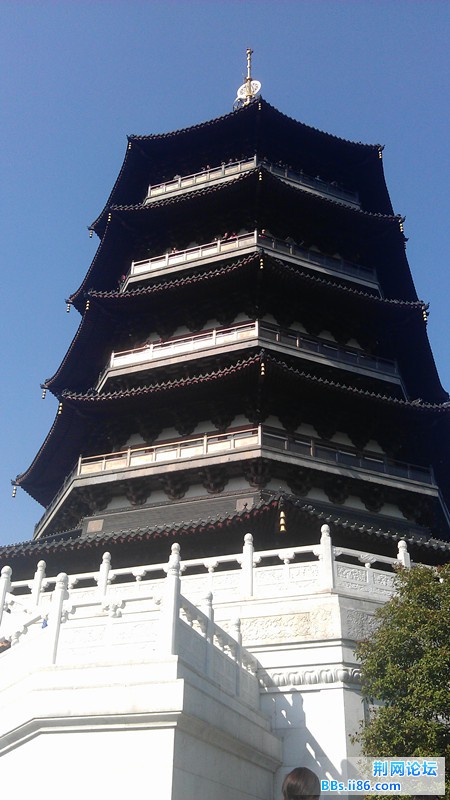 IMAG0323.jpg