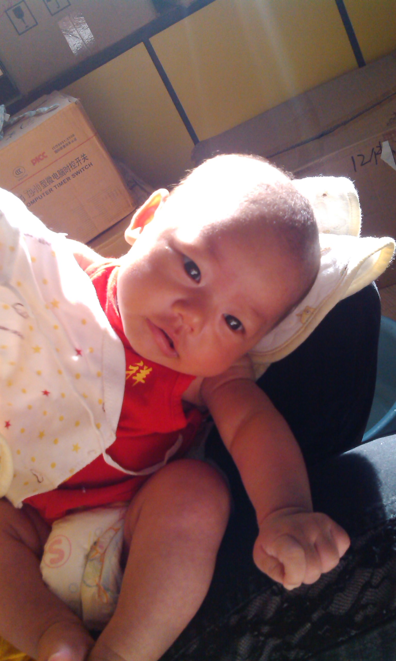 IMG_Ali_00329.jpg
