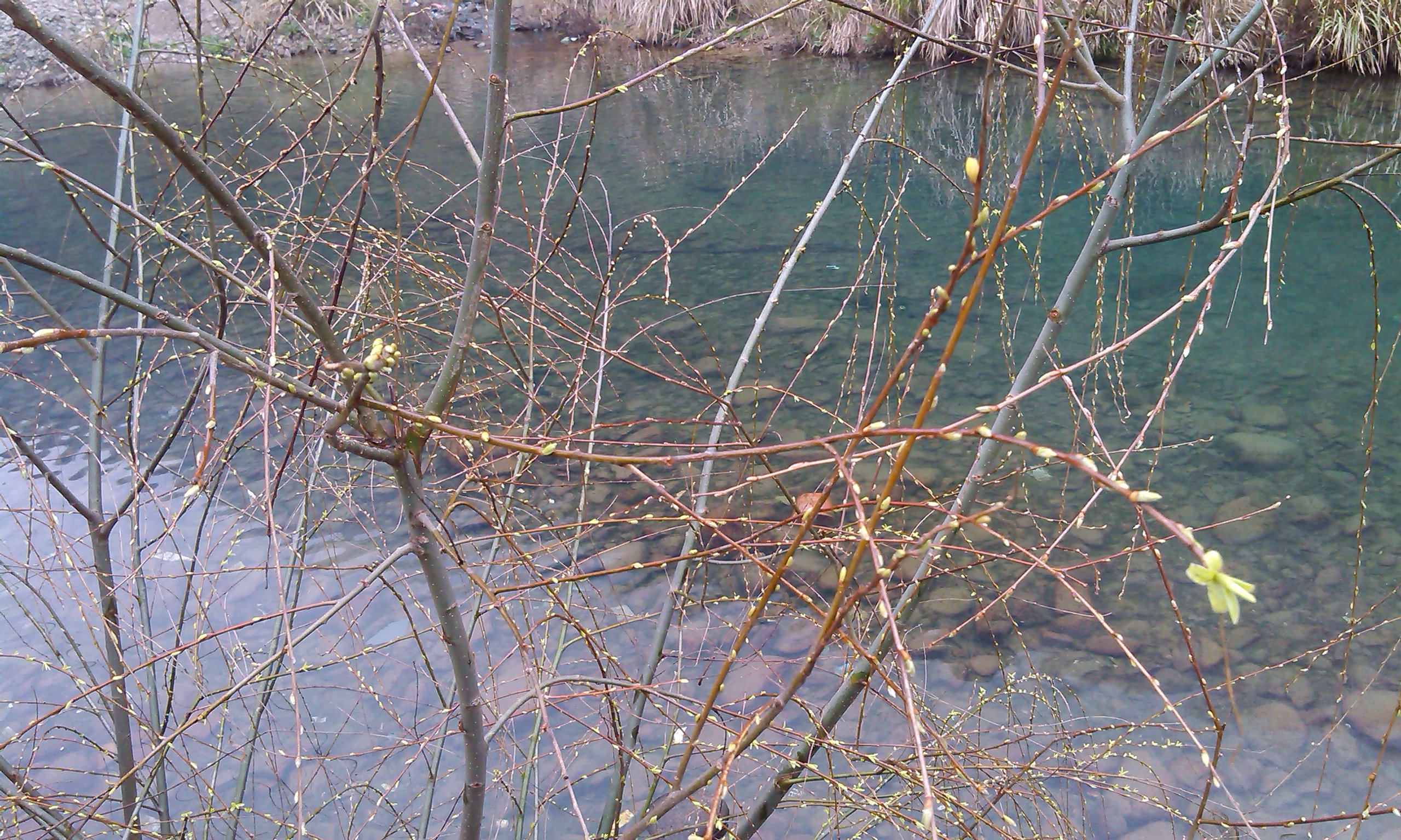 IMG_Ali_00035.jpg
