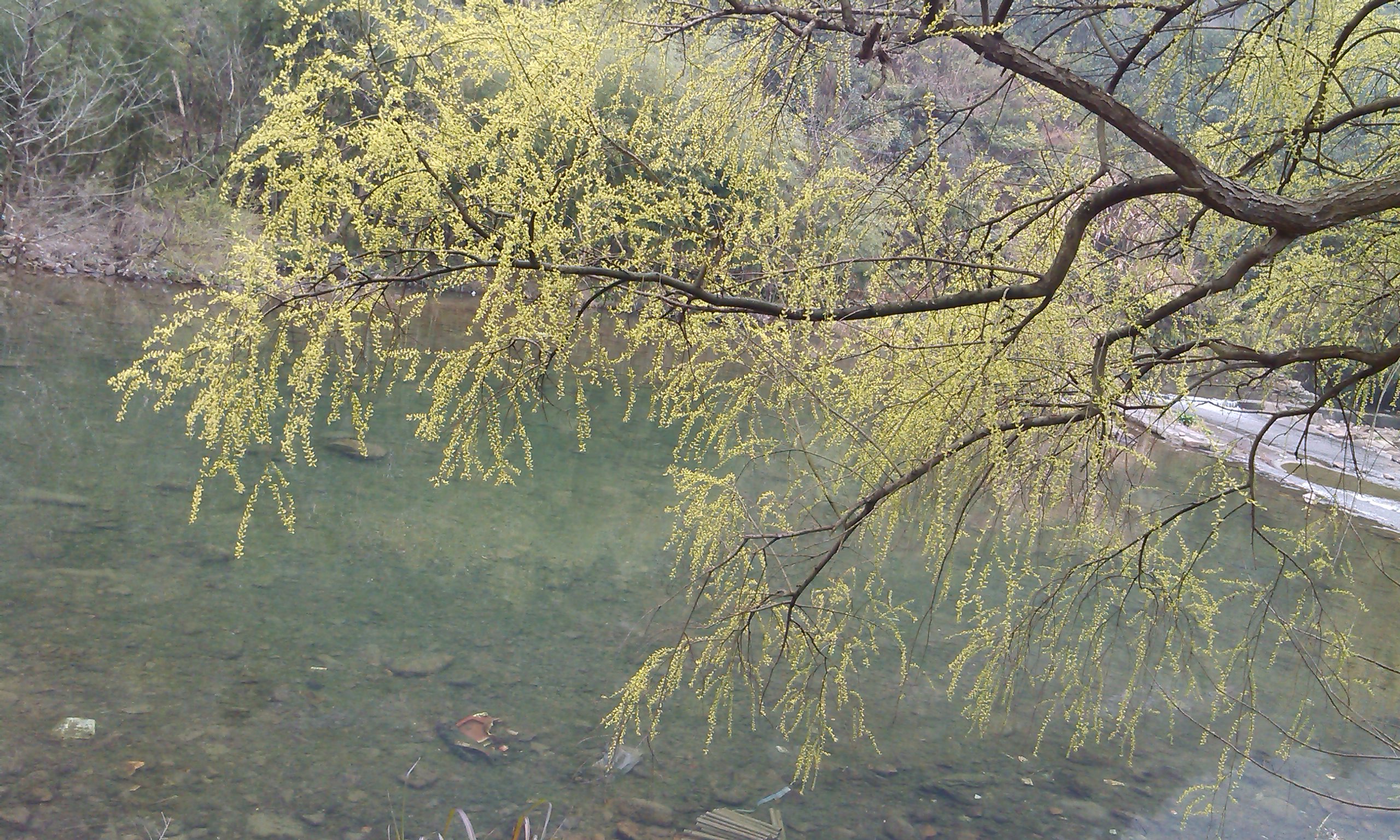 IMG_Ali_00042.jpg
