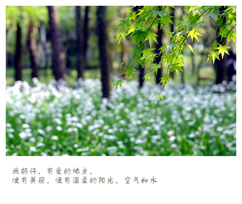 DSC_0425_副本_副本.jpg