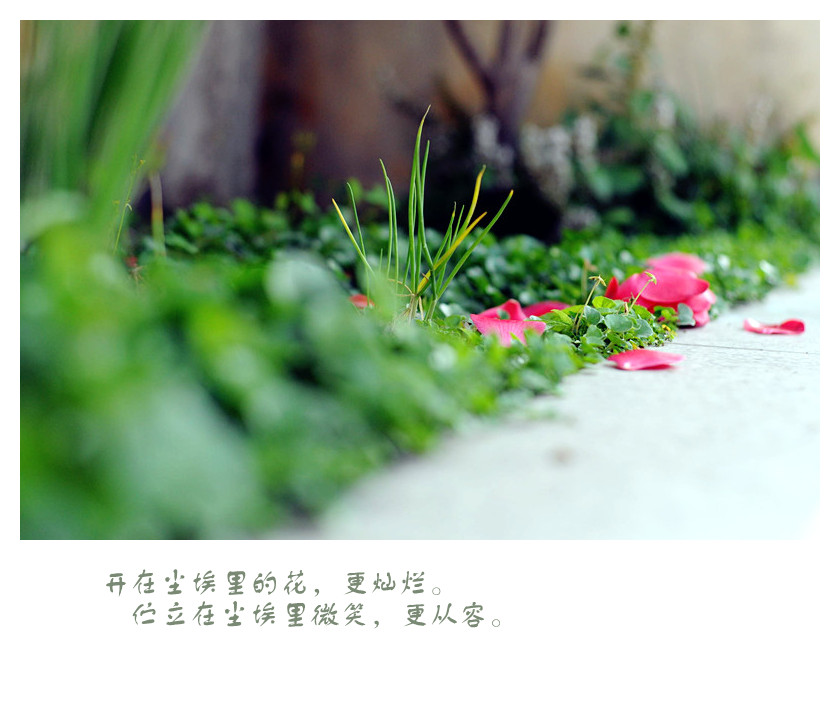 DSC_0742_副本_副本.jpg