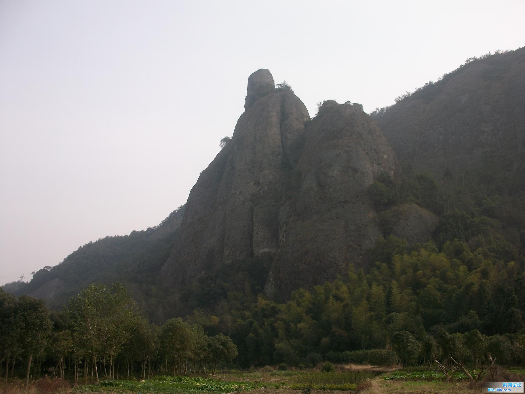 ALIM2229.JPG