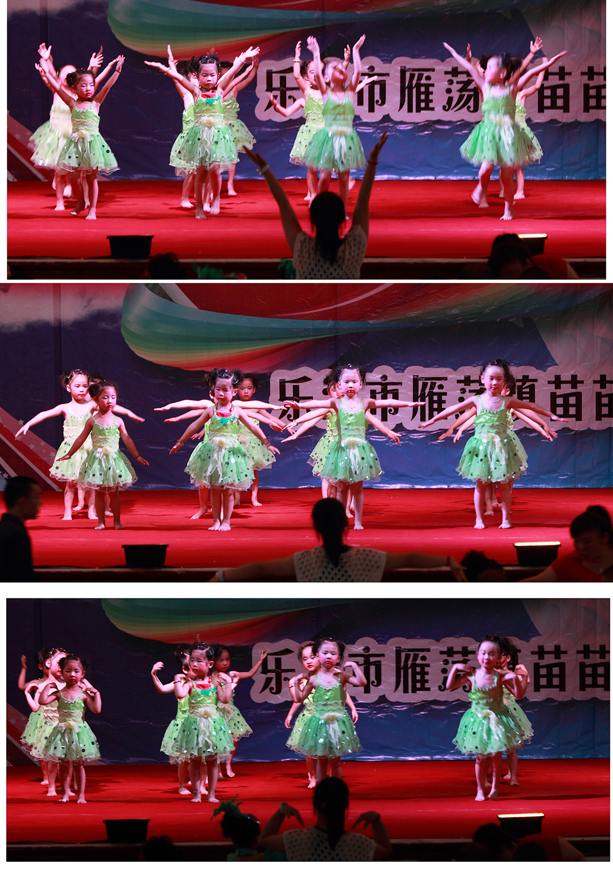 BI0E4113.JPG