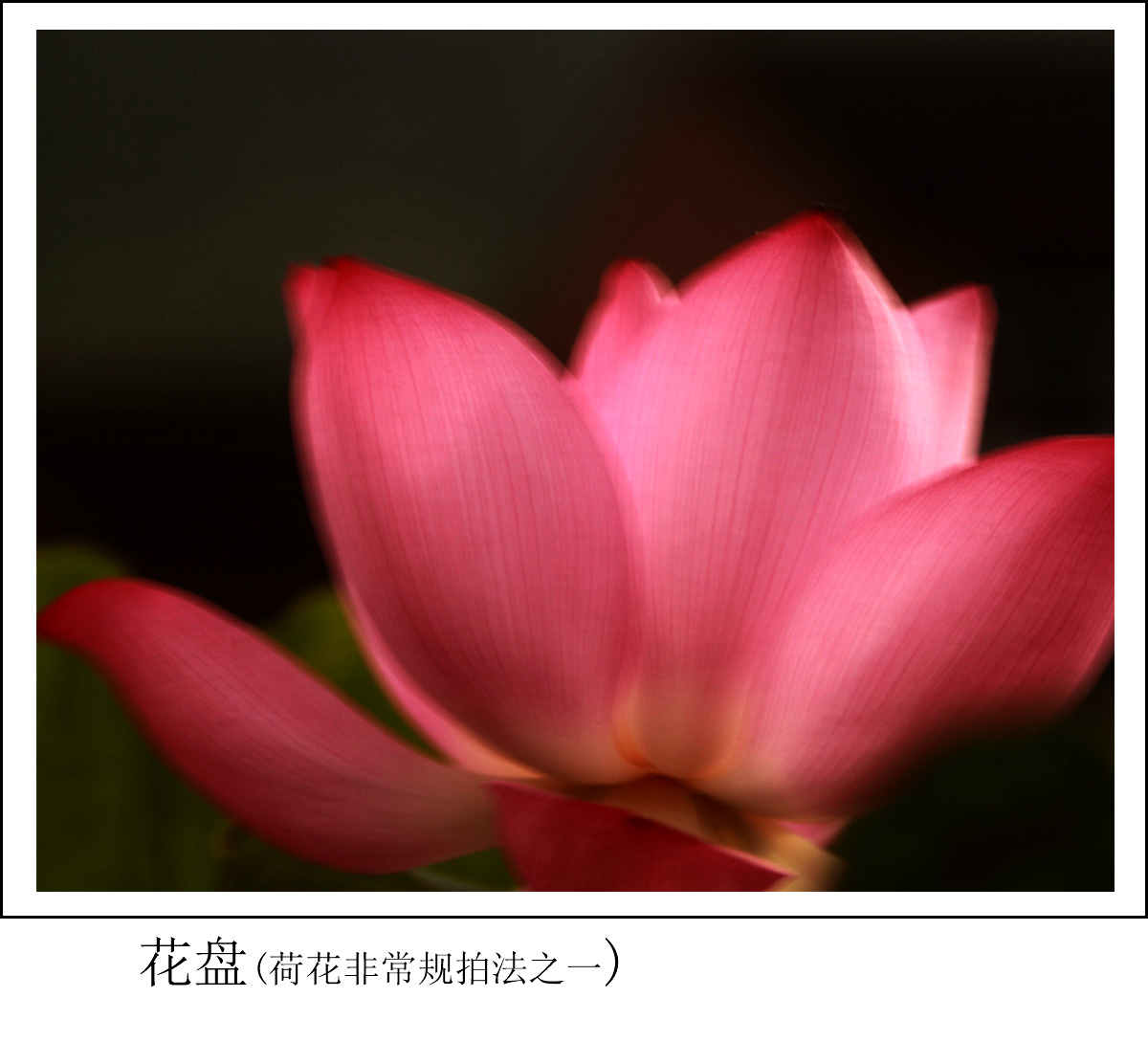 BI0E4630.JPG