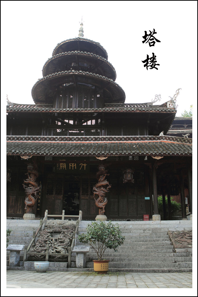 08BI0E6226.JPG