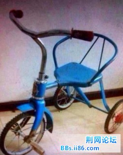 213.jpg