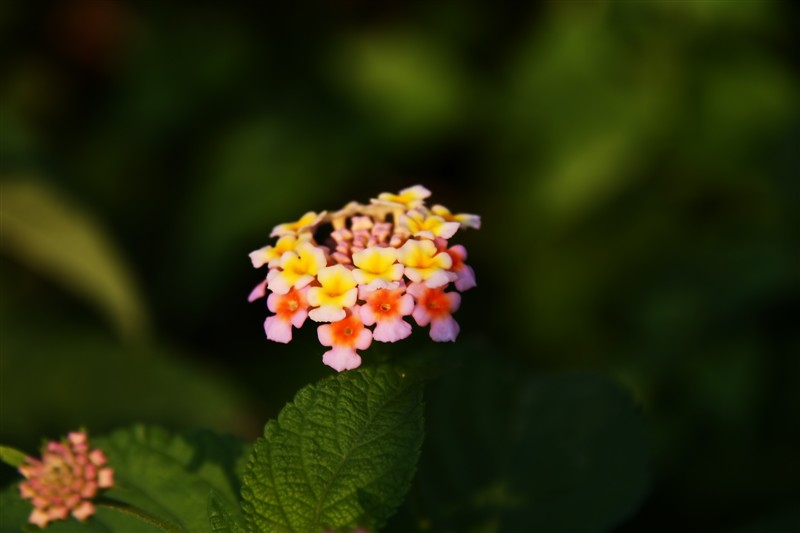 psb (22).jpg