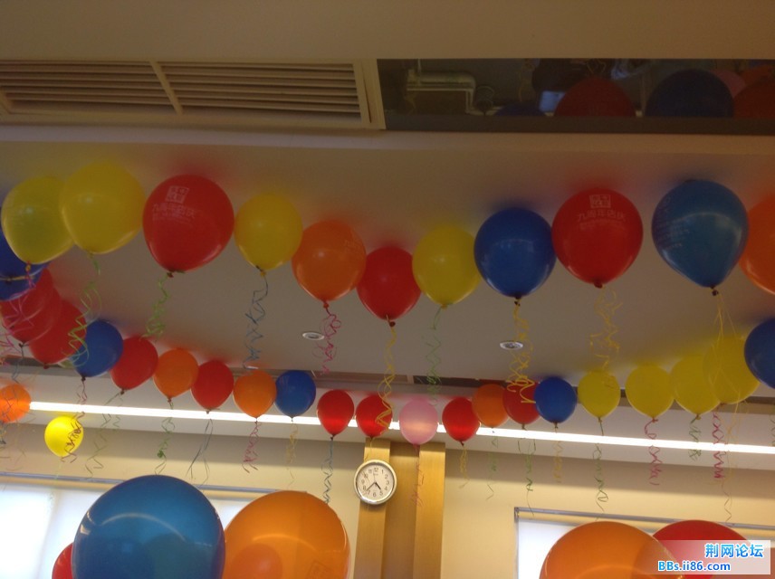 878754.jpg