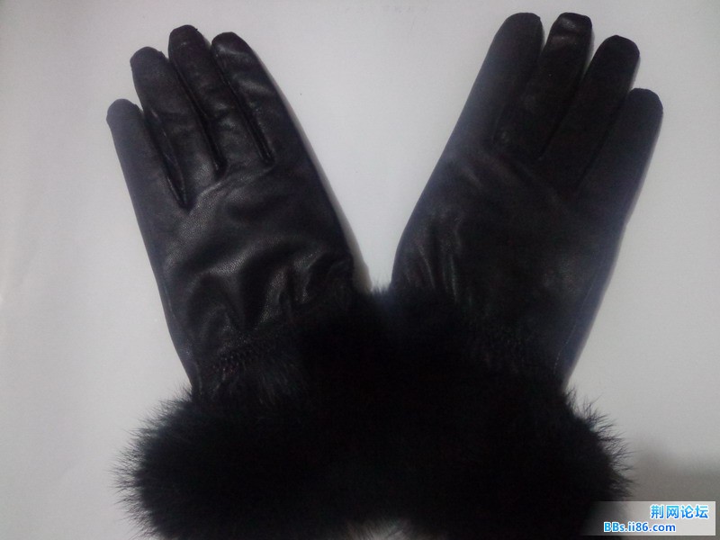 DSC01103_缩小大小.JPG