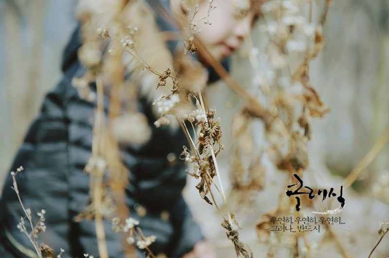 DSC_0526_副本.jpg