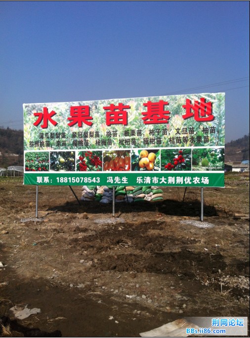 淘宝3年苗20.jpg