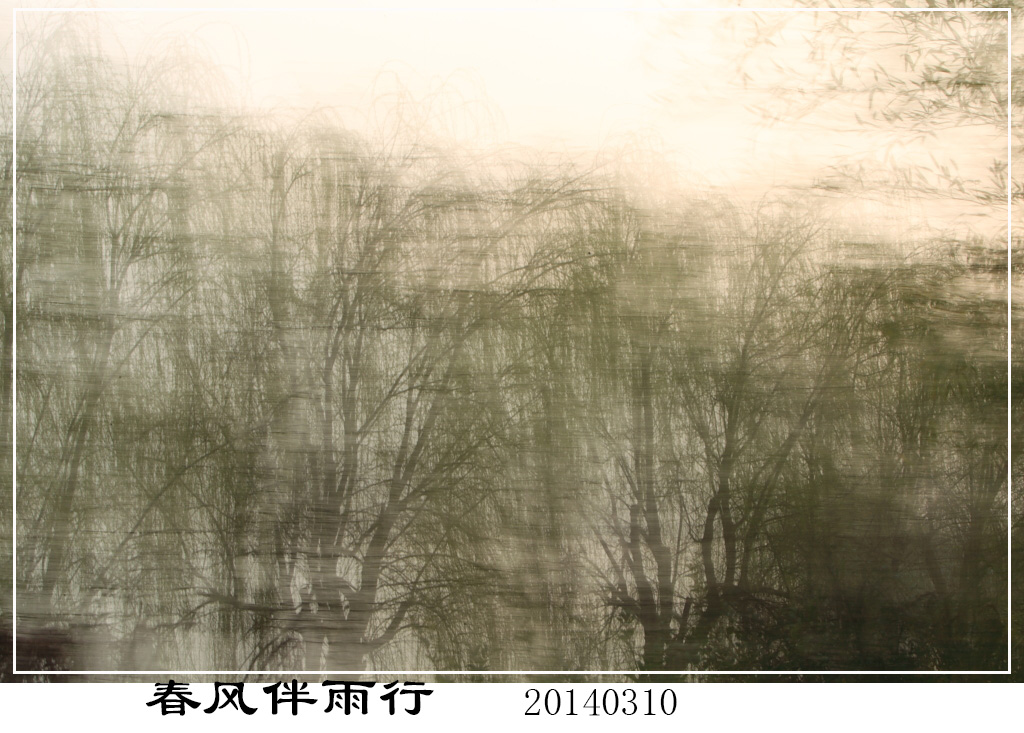 BI0E8459.JPG