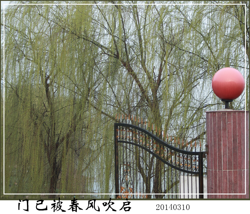 BI0E8472.JPG