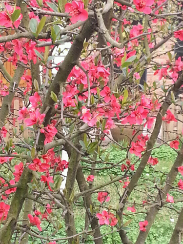 20140315_162745.jpg