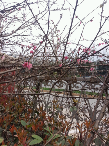 20140315_143800.jpg