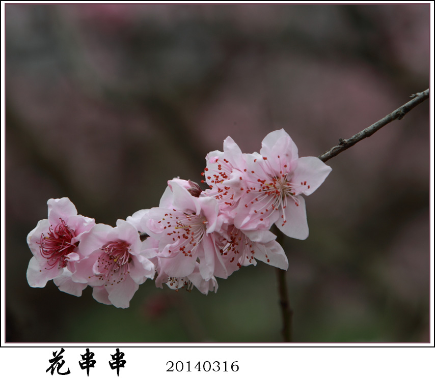 BI0E8703.JPG