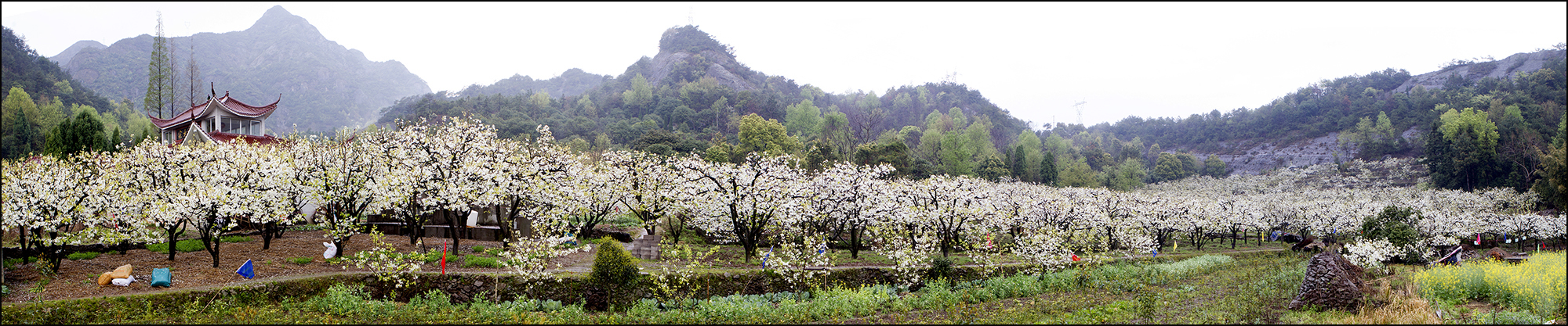 9128-32_全景图1.jpg