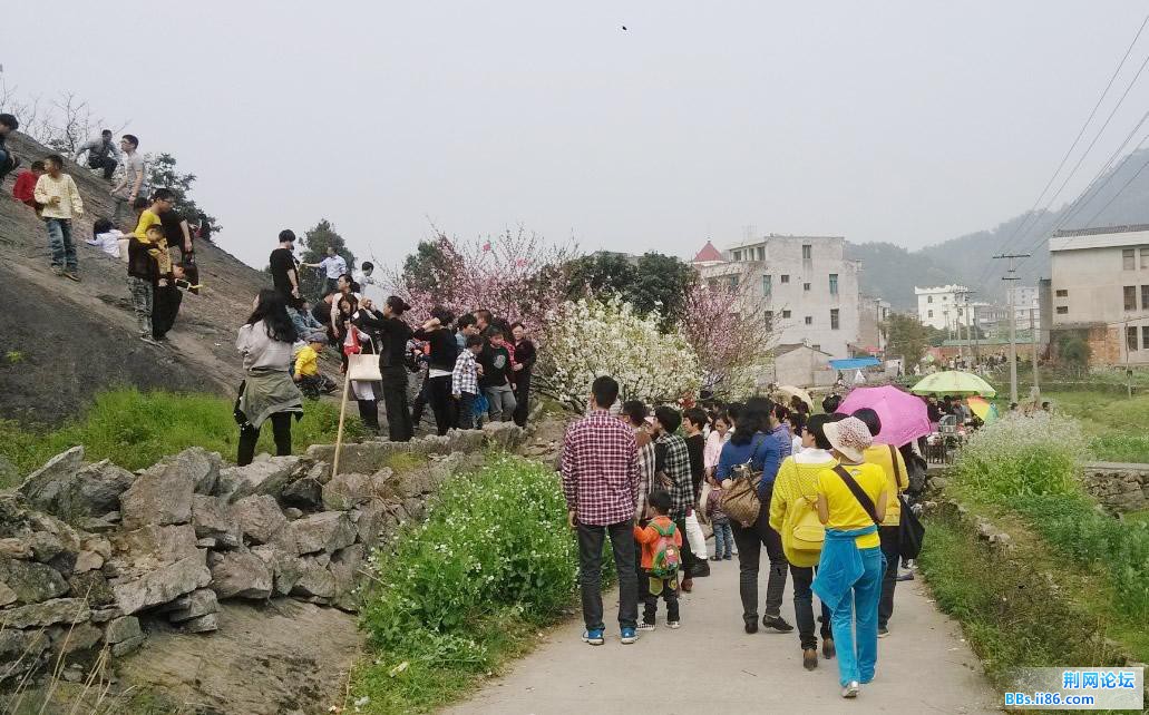 QQ截图20140330161633.jpg