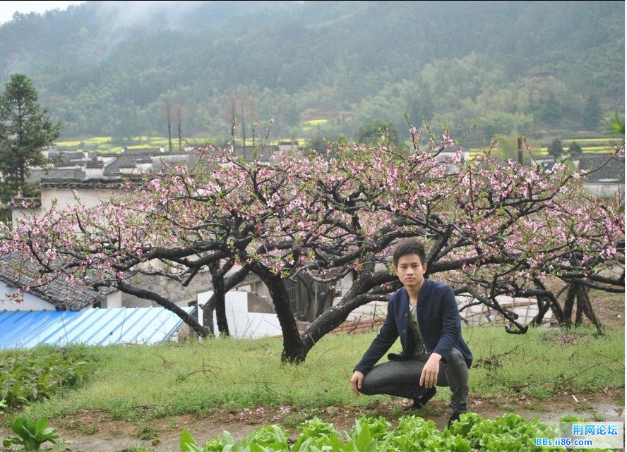 QQ图片20140331180944.jpg