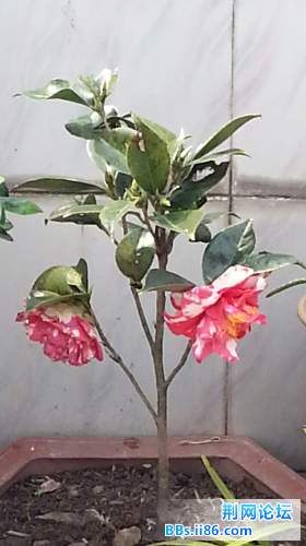 20140403_101055-1.jpg