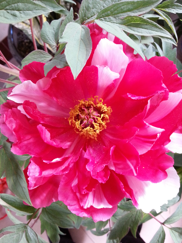20140409_141839.jpg