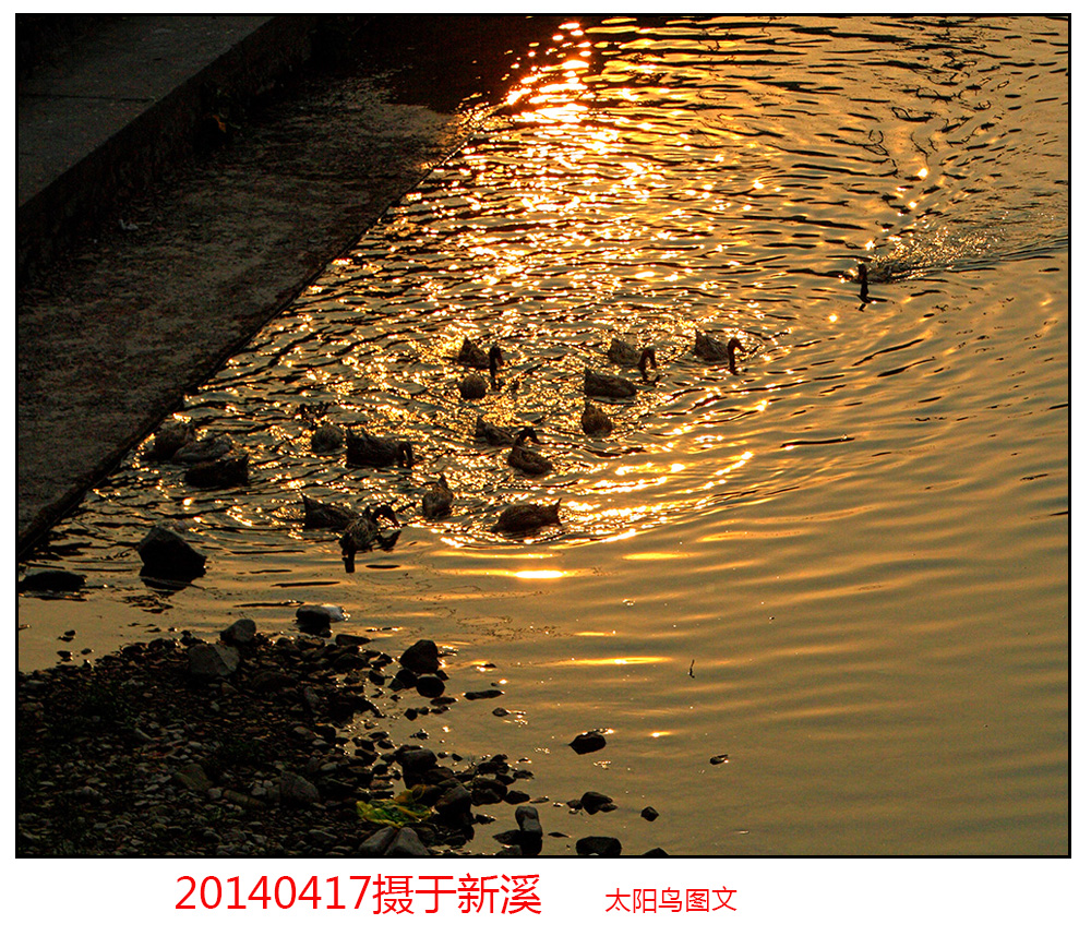 8778_HDR2.jpg