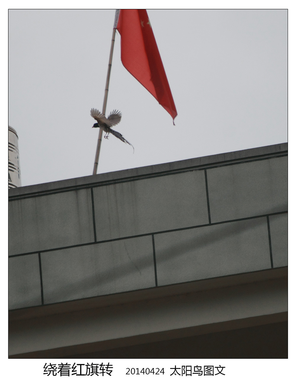 BI0E9375.JPG