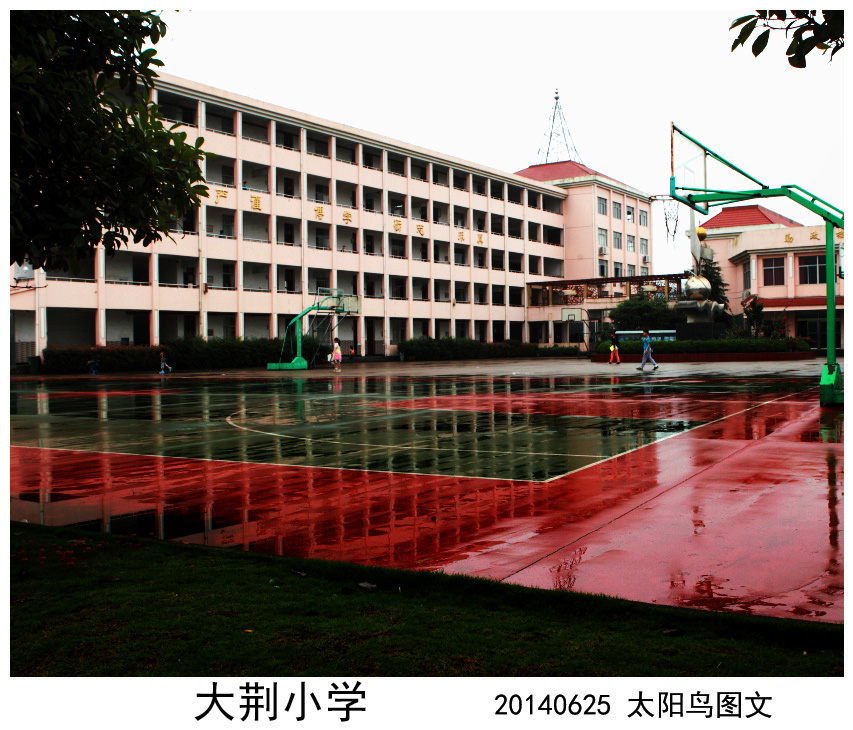 BI0E0391.JPG