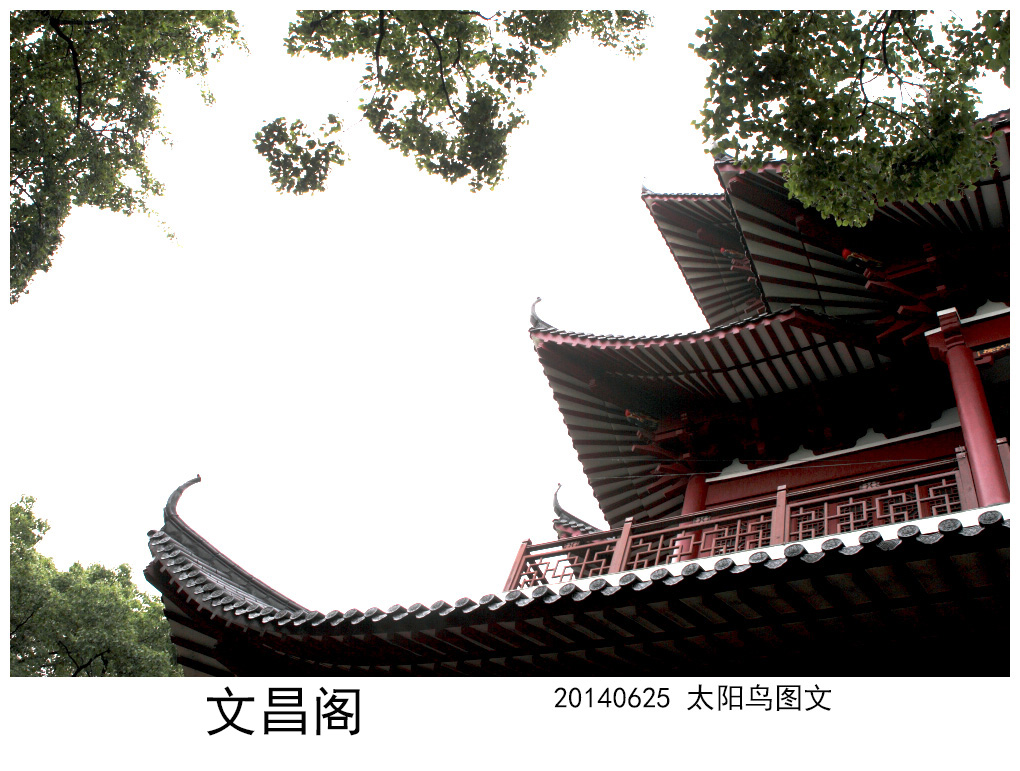 BI0E0424.JPG