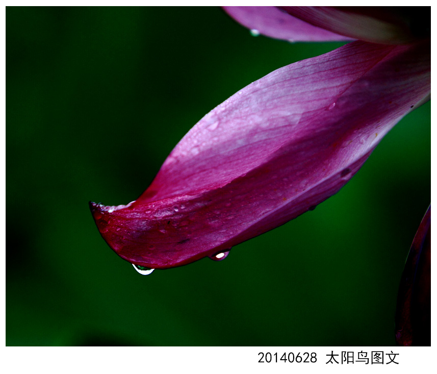 BI0E0597.JPG