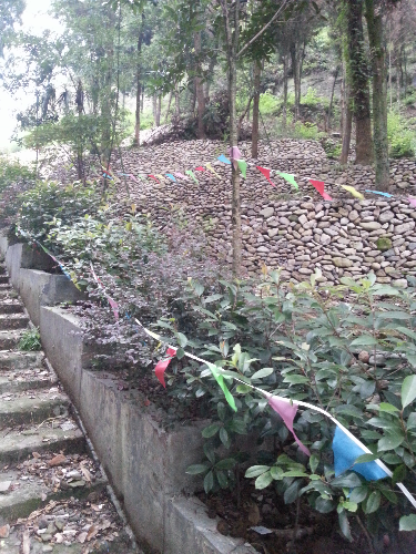 20140910_061642.jpg