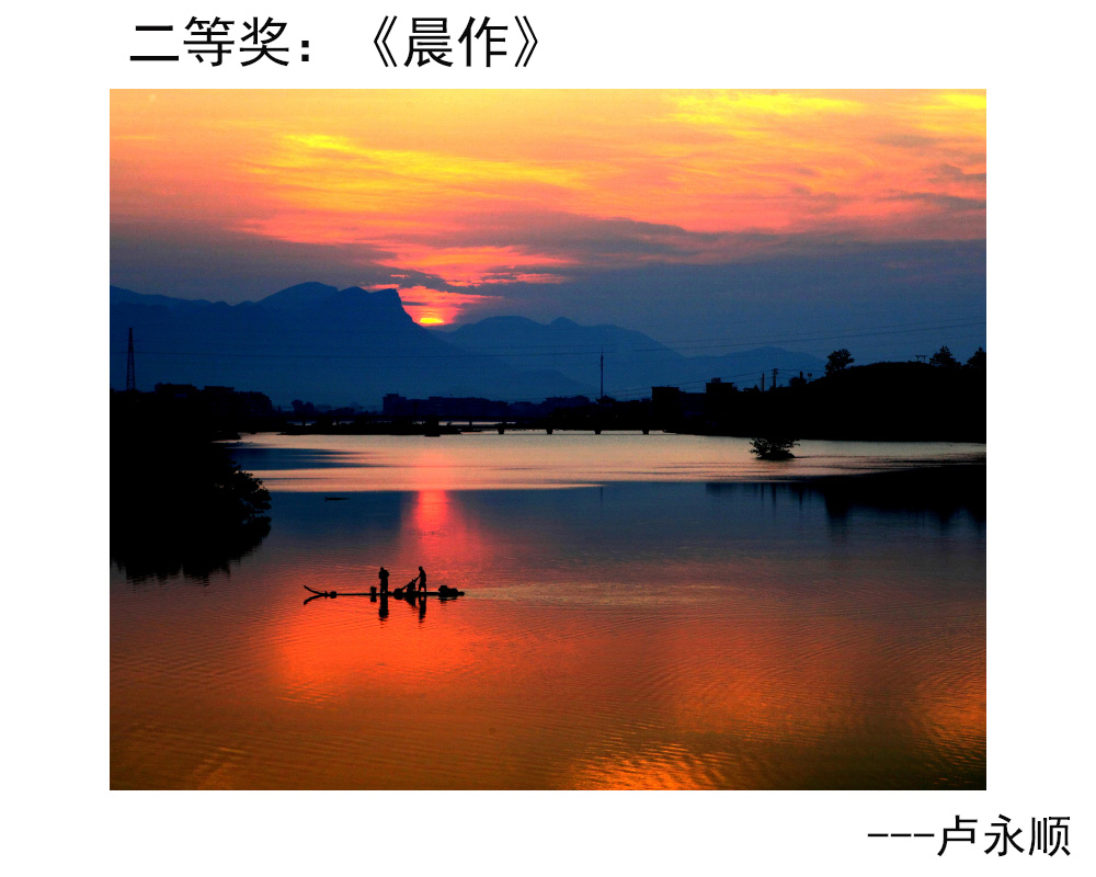 2二等奖：《晨作》---卢永顺.JPG