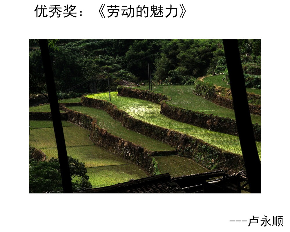 优秀奖：《劳动的魅力》---卢永顺.JPG