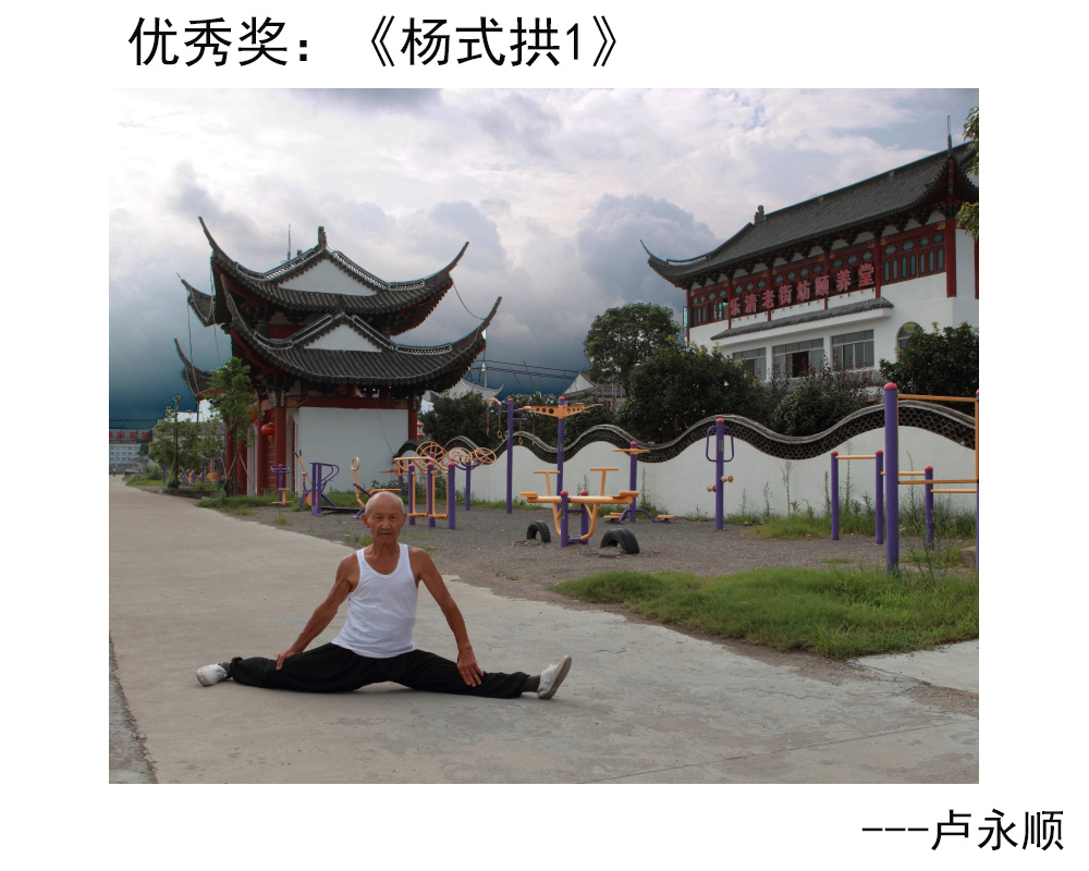 优秀奖：《杨式拱1》---卢永顺.JPG
